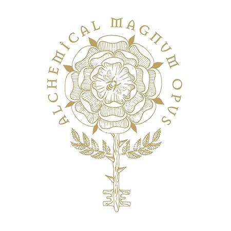 House Of Alchemy - San Luca - Stadio Apartment Bologna Ngoại thất bức ảnh